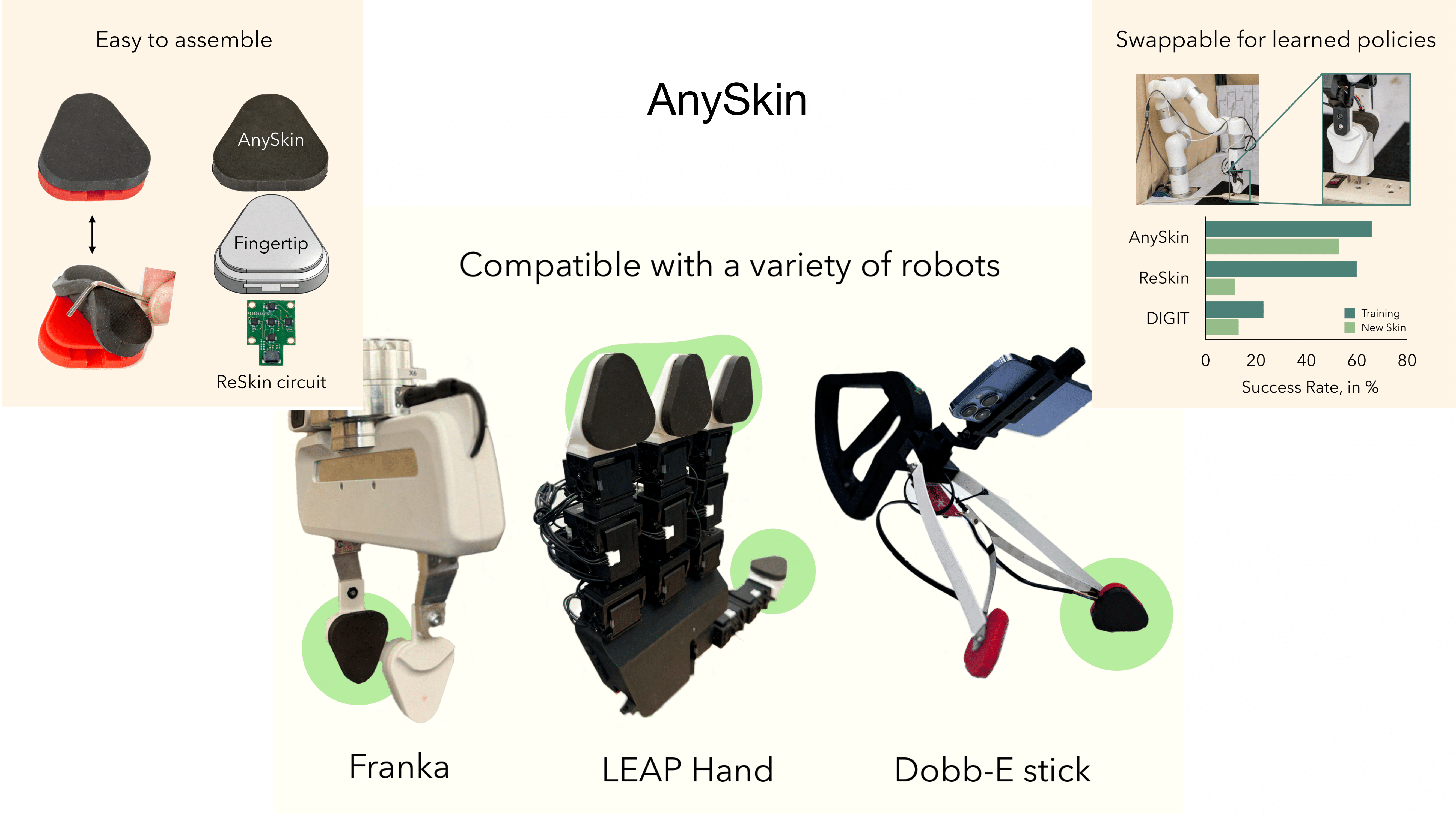 anyskin.png